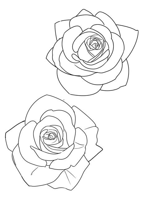 Pin By Kevin Stecher On Quick Saves Flower Drawing Tutorials Flower