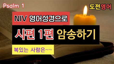 영어성경암송 시편 1편 영어로 읽고 암송하기 Psalm 1 Youtube