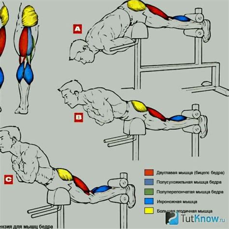 Гиперэкстензия by Rostislav Belexov - Exercise How-to - Skimble