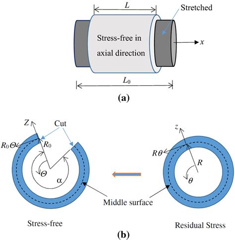 Residual Stresses In The Aorta A Aorta Stretched In Axial Direction B