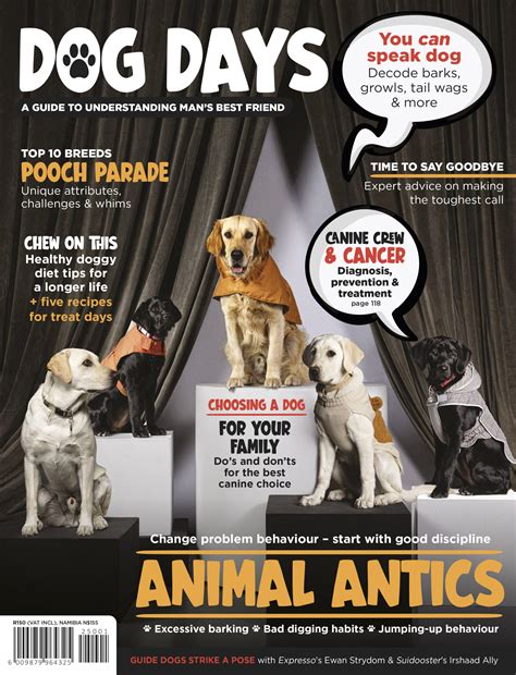 Dog Days 2025 - Media24 Shop
