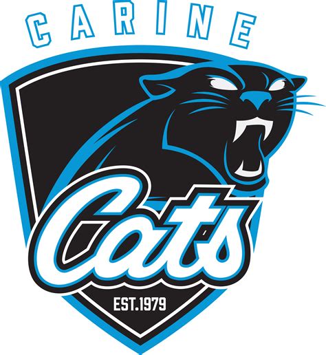 About Softball – CARINE CATS SOFTBALL