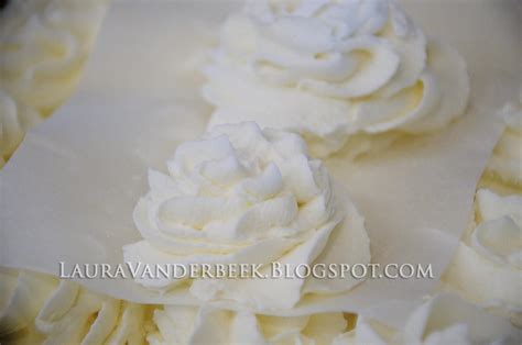 Laura Vanderbeek Decorative Frozen Whipped Cream For Hot Cocoa