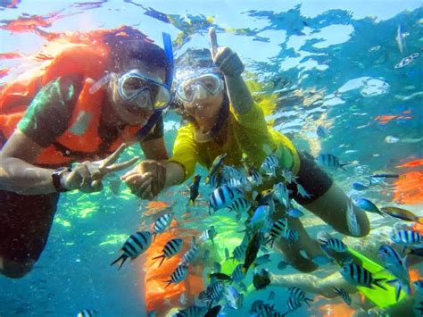 Tips Tips Snorkeling Di Karimunjawa