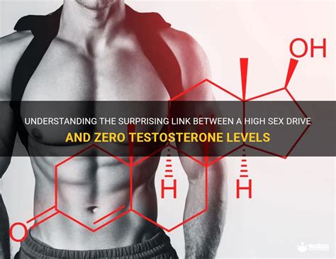 Understanding The Surprising Link Between A High Sex Drive And Zero Testosterone Levels Medshun