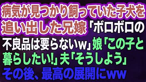 病気が見つかり飼っていた子犬を追い出した兄嫁「ボロボロの不良品は要らな～いw」娘「この子と暮らしたい！」夫「そうしよう」→我が家で引き取ると