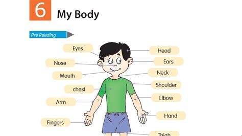 Class 2nd English Lesson 6 My Body Youtube