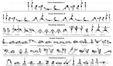 Fun And Easy Yoga Sequence Vinyasa Image Yoga Poses