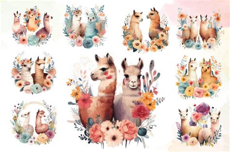 Cute Llamas With Florals Watercolor Graphic By Digital Art Studio