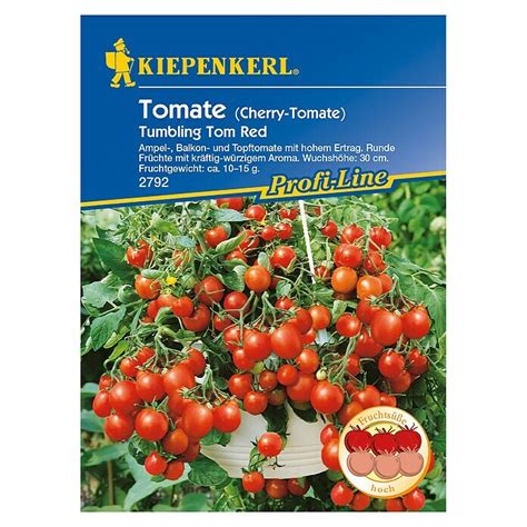 Kiepenkerl Profi Line Gem Sesamen Tomate Tom Red Solanum Lycopersicum