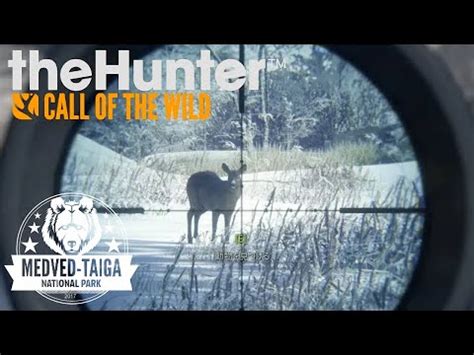 Thehunter Youtube