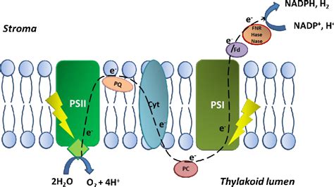 Figure From Photocatalytic Production Of H And O From Water Based