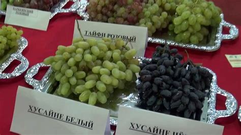 Узбекский виноград - YouTube