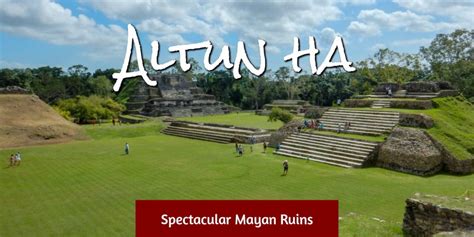 Altun Ha - Spectacular Mayan Ruins - Avrex Travel