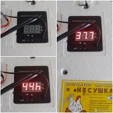 Инкубатор Несушка БИ-1 (БИ-2) - «Инкубатор Несушка на 36 яиц ...