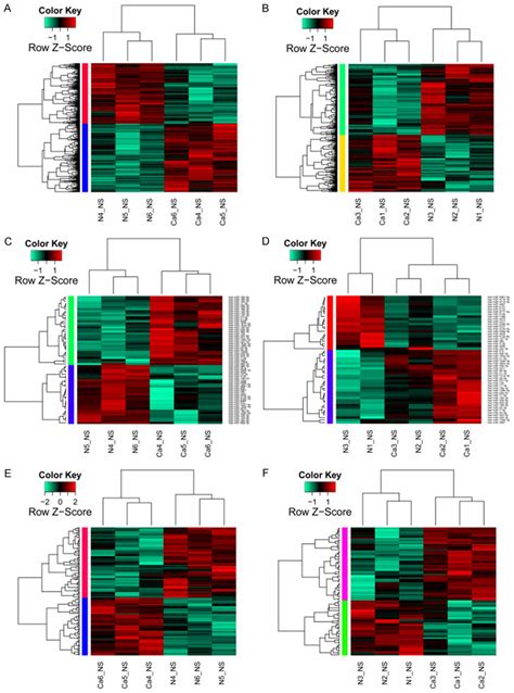 The Heat Map Of Clustering Analysis Of Differentially Expressed De Download Scientific