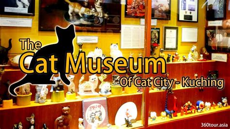 The Worlds First And Largest 🐱 Cat Museum At Kuching Sarawak Youtube