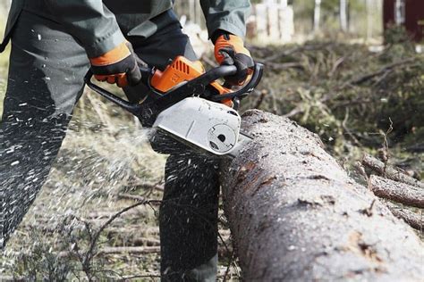 Stihl Vs Detailed Comparison Firewoodquestions