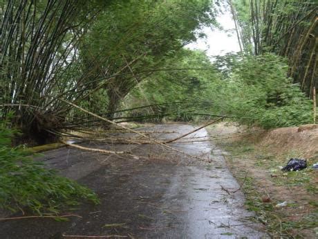 Hurricane Beryl devastates St Elizabeth and Manchester | News | Jamaica ...