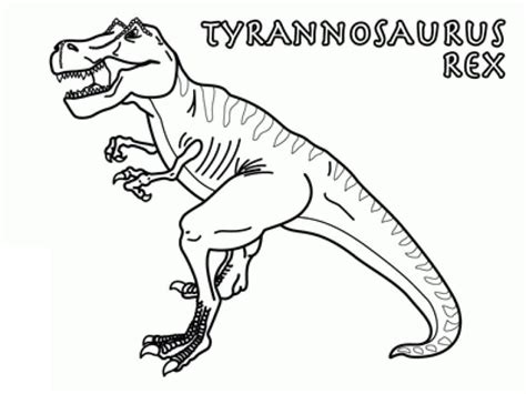 M Larbild Tyrannosaurus Dinosaurie Skiv Ut Gratis P Malarbilder Se