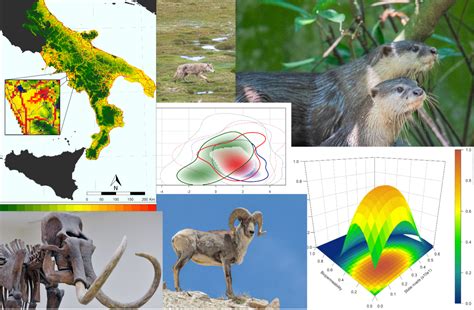 Macroecologia E Modellistica Predittiva Di Vertebrati Terrestri