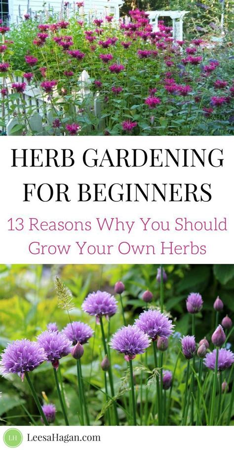 Create A Garden To Remember With This Useful Advice Gardening For