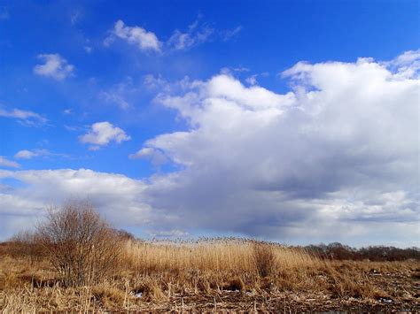 Field Photograph By Robert Nickologianis Fine Art America