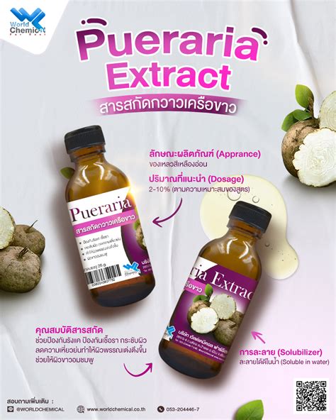 สารสกัด กวาวเครือขาว Pueraria Extract ขนาด 25 G World Chemical Group