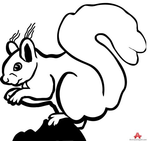 Squirrel Clipart Black And White In Animal Black White 44 Cliparts