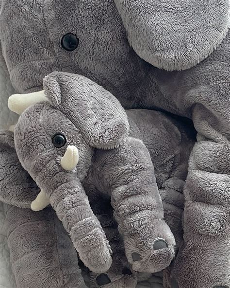 Gö Känġmïn ⺣̤̬ | #제품제공 ┇ #블랑가또코끼리서포터즈3기 🐘 ⠀ ┇코끼리 인형 스몰┇ ⠀ 강민이의 애착 인형은 ...