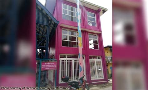 Standout! Bayani Fernando brings pink structures back to Marikina ...