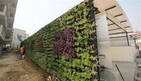 Jardines Verticales Entre Algunos Sistemas De Agricultura Que Se