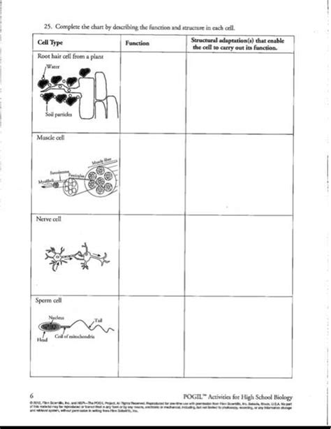 The Role Of Membrane Structure And Function Unveiling The Answers With Pogil