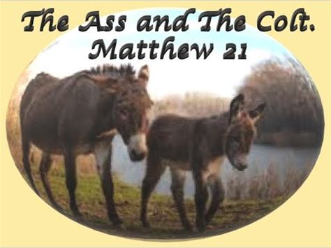 The Ass And The Colt Matthew 21 YouTube