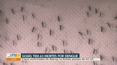 Ja Edi O Regional Goi S Registra Mortes Por Dengue No