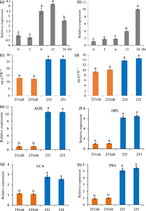 Figure 6 From Comparative Proteomics Combined With Analyses Of