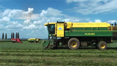 R Colte Des Pois De Conserve Avec R Colteuses Ploeger Peas