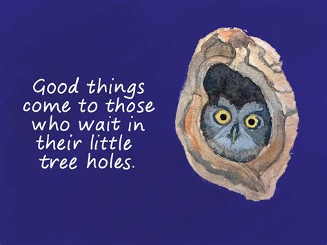 Owl Wisdom | The New Yorker