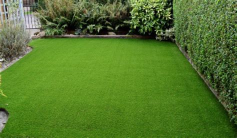 Garden grass: How to cover bare patches with bright green layer ...