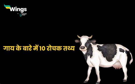 10 Lines On Cow in Hindi: गाय के बारे में 10 लाइन - Leverage Edu