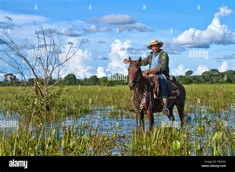 Como Se Veste O Homem Pantaneiro - Homem pantaneiro hi-res stock photography and images - Alamy