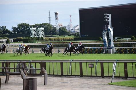 【写真】秋の天皇賞 満を持して直線勝負に賭けるキセキを狙ってみる｜newsポストセブン