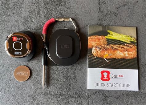 Weber IGrill Mini Bluetooth Grillthermometer Kaufen Auf Ricardo