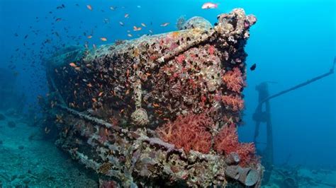 How Many Shipwrecks Are There In The Worlds Oceans Bbc Future