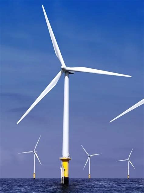 Concerns Over Environmental Impact Of Offshore Wind Farm Proposed For