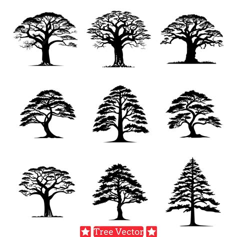 Premium Vector | Silent Witnesses Elegant Tree Silhouette Designs for