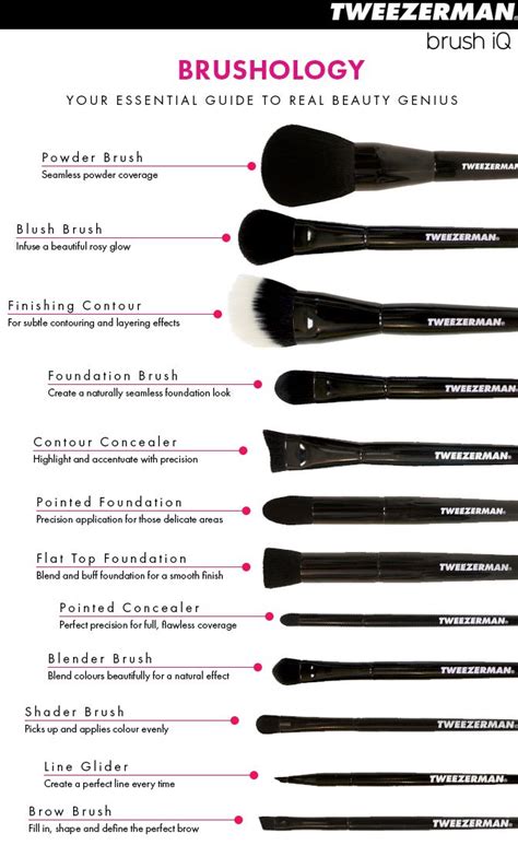 The Best Guide To Makeup Brushes And Their Uses Makeup Brushes Guide