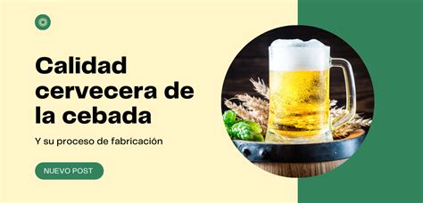 Calidad Cervecera De La Cebada Y Proceso De Fabricaci N De La Cerveza