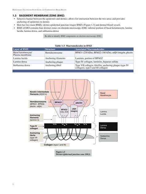 Dermatology