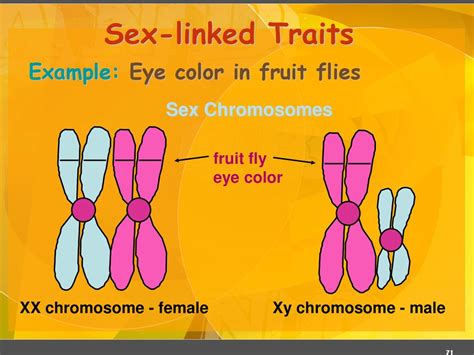 Mendelian Genetics 1222018 Mendelelian Genetics Ppt Download